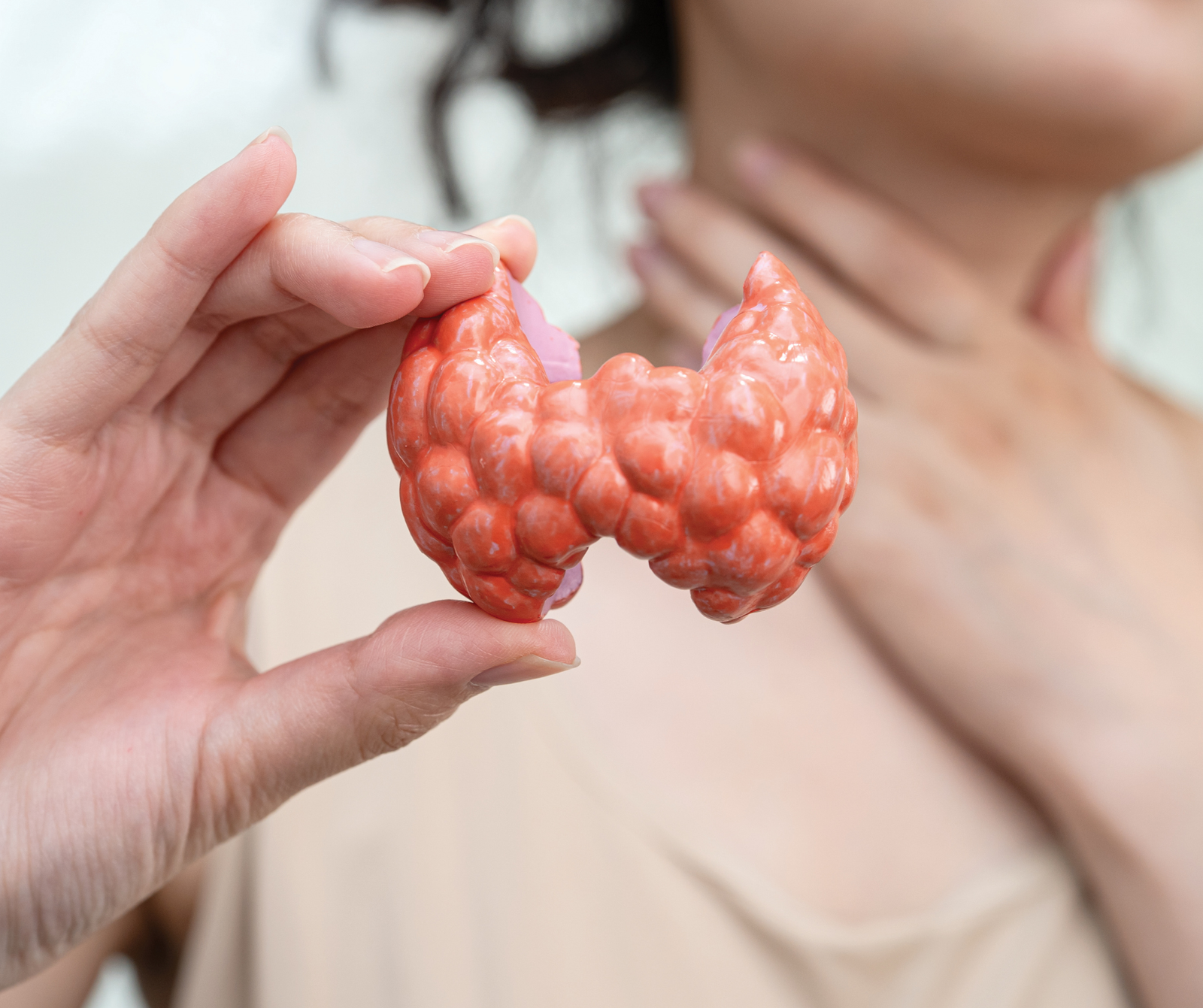 Holistic Thyroid Care | Natural Wellness Support holistic thyroid care